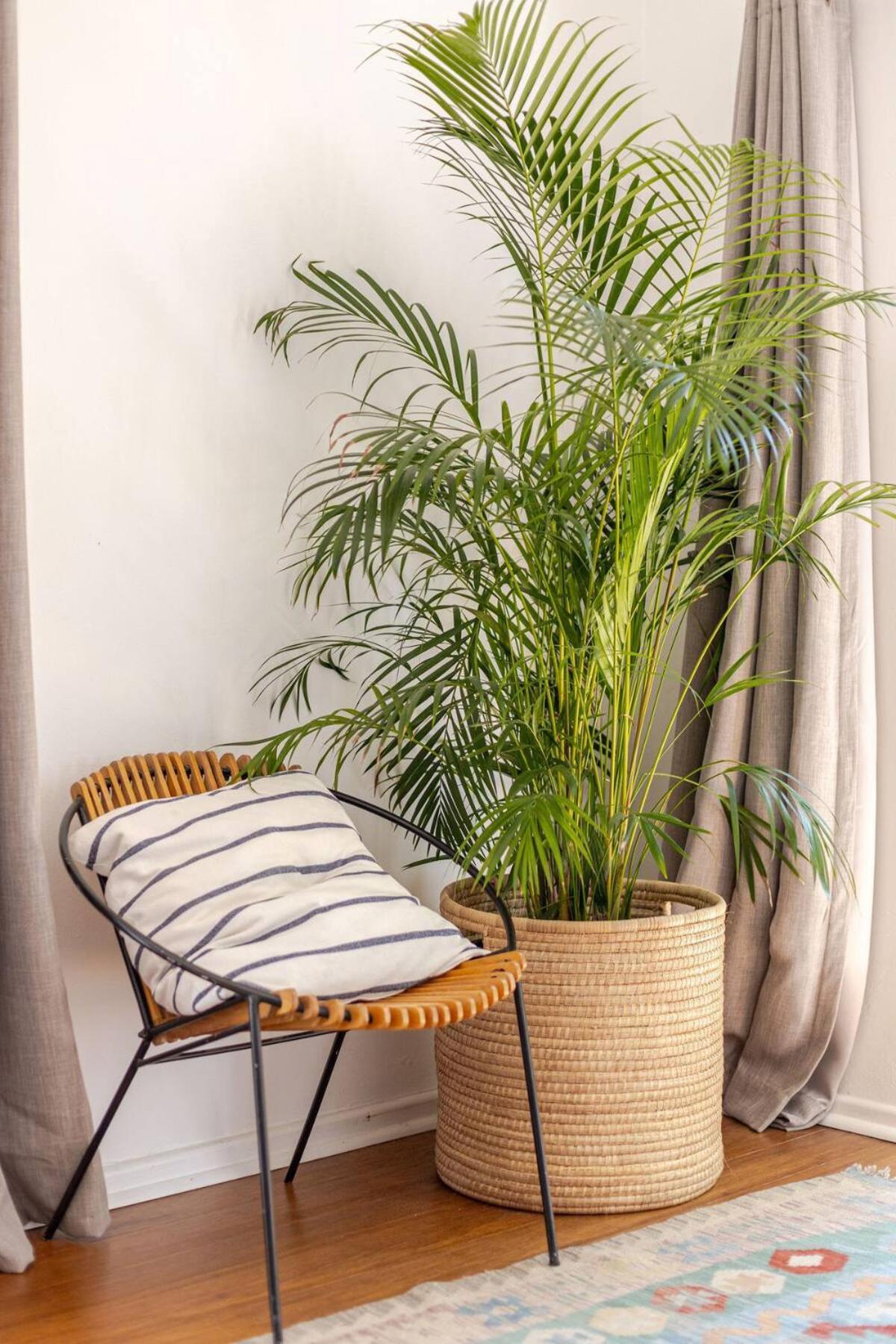 Relaxed Summer Home, Under Table Mountain Holiday home *